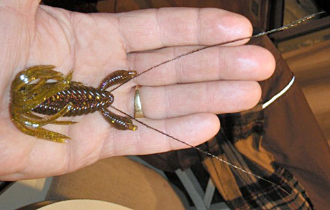 The Bed Bug unique custom soft plastic creature bait hand-poured in the US 
   with a custom skirt, ribbed body and two hand-laid real peacock feather antennae for life-like action like a real crayfish